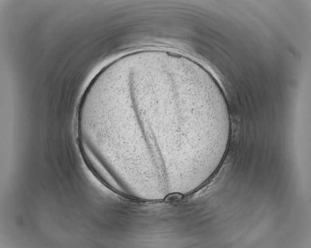 X0000110961531200907101317