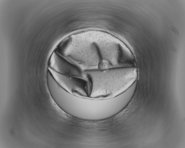 X0000110961532200907101317