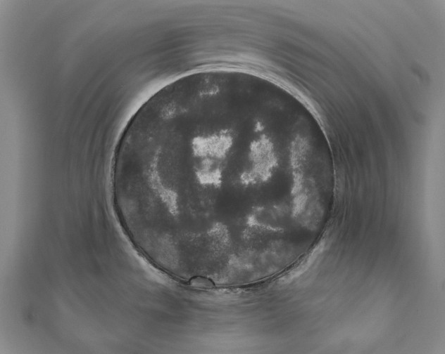 X0000110961533200907101317