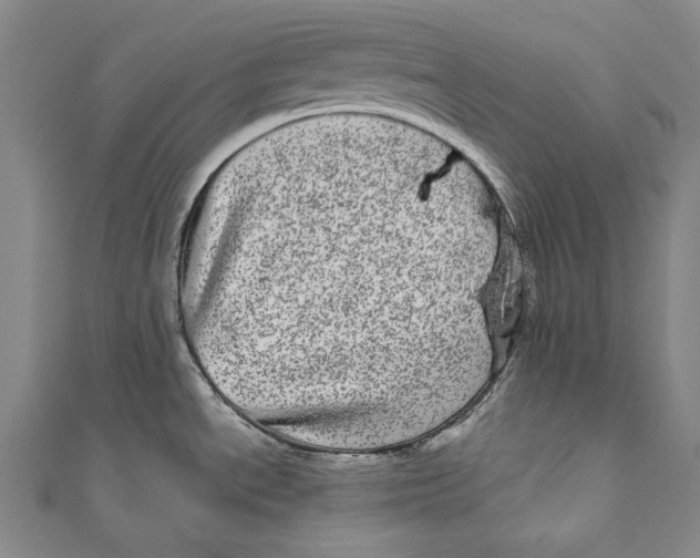 X0000110961534200907101317