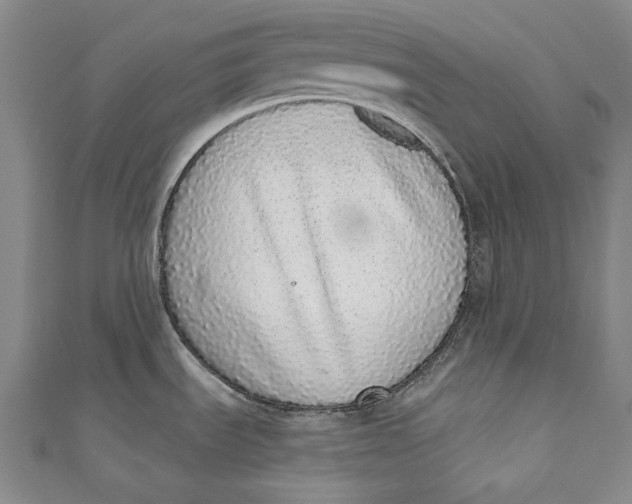 X0000110961535200907101317