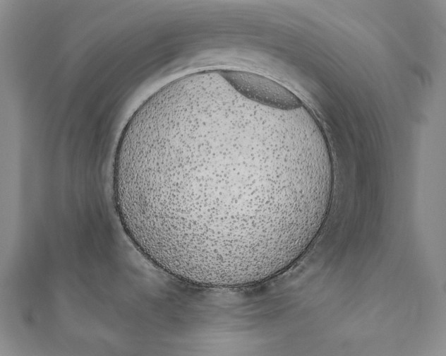 X0000110961536200907101317