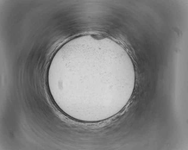 X0000110960001200907171659