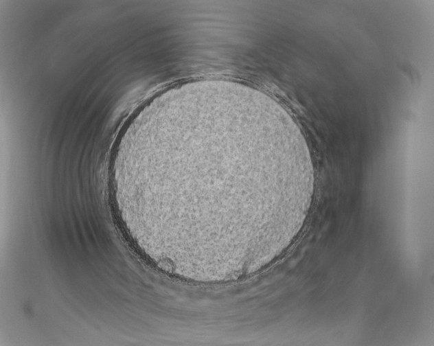 X0000110960002200907171659
