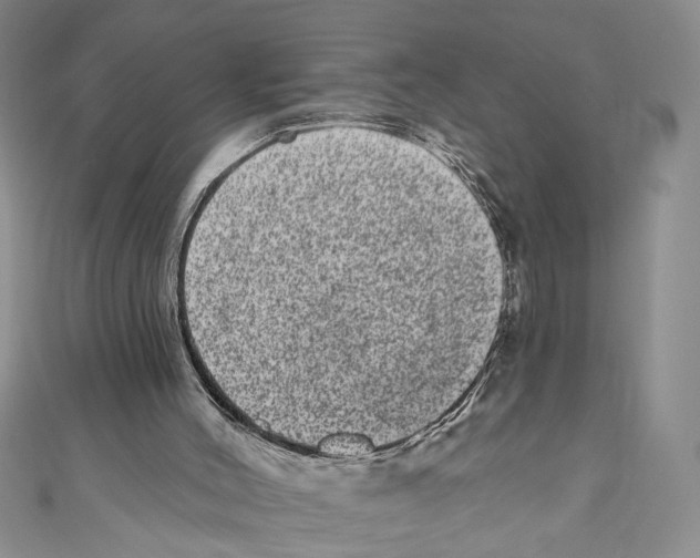 X0000110960004200907171659