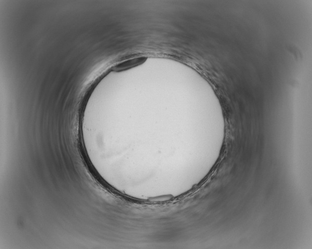 X0000110960005200907171659