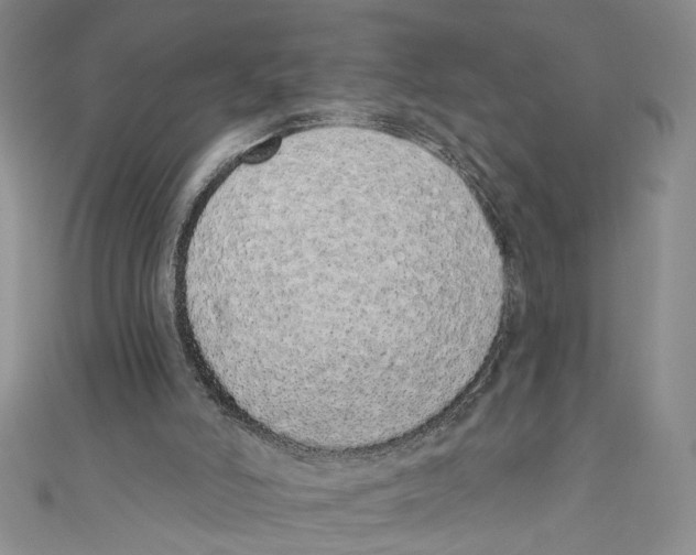 X0000110960006200907171659