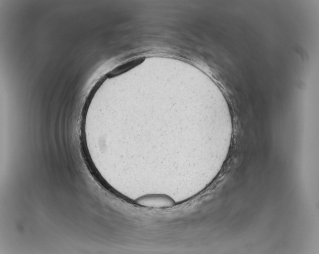 X0000110960007200907171659