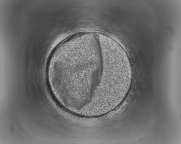 X0000110960008200907171659