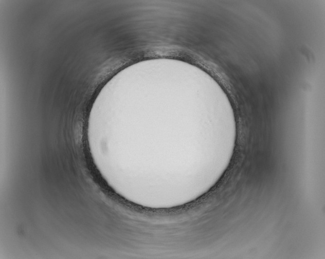 X0000110960010200907171659