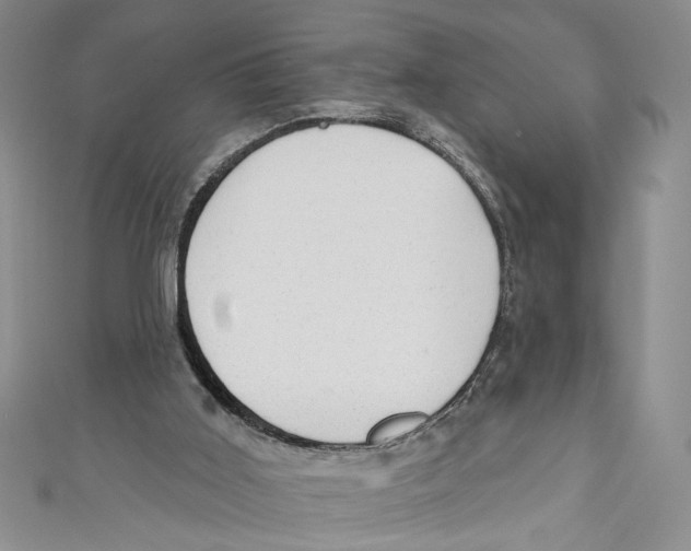 X0000110960011200907171659