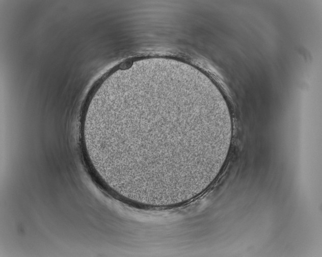 X0000110960012200907171659