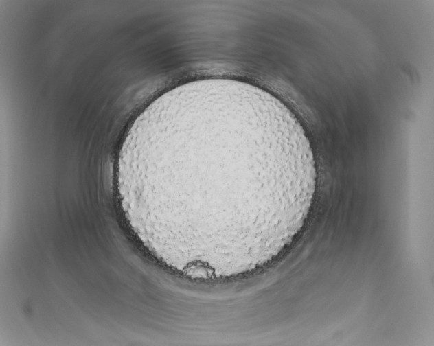 X0000110960014200907171659
