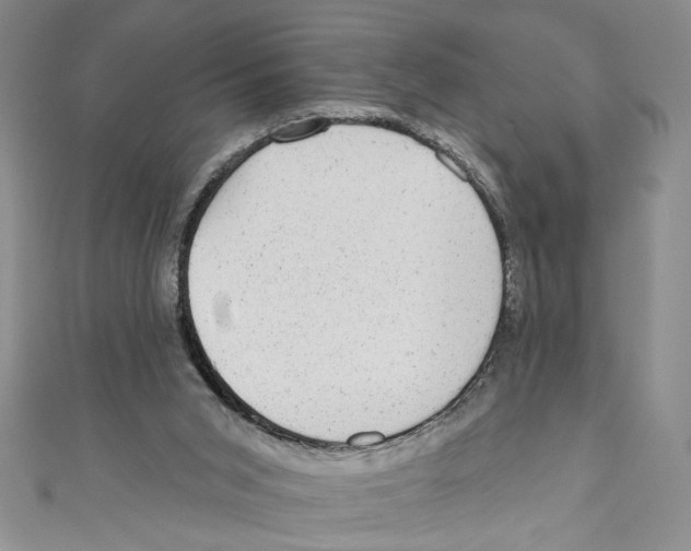 X0000110960015200907171659