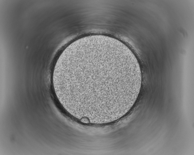 X0000110960016200907171659