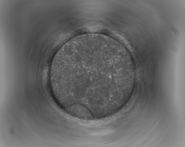 X0000110960018200907171659
