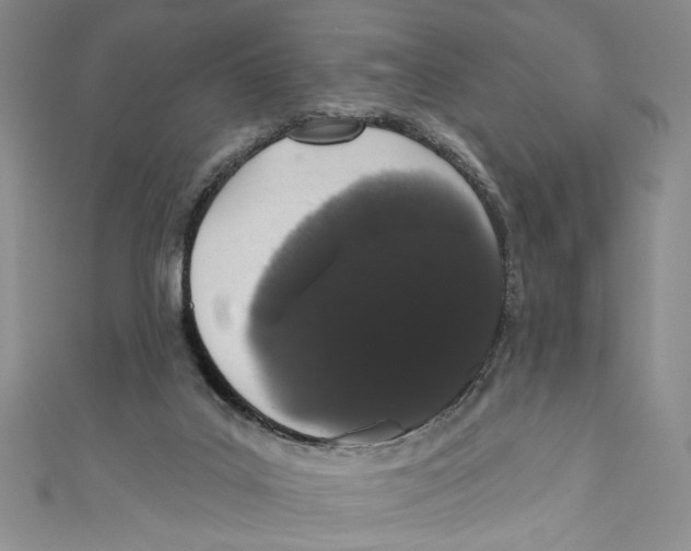 X0000110960019200907171659