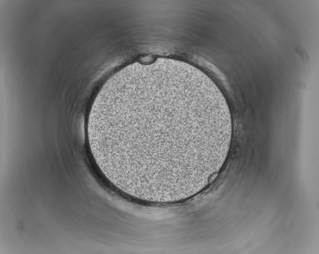 X0000110960020200907171659