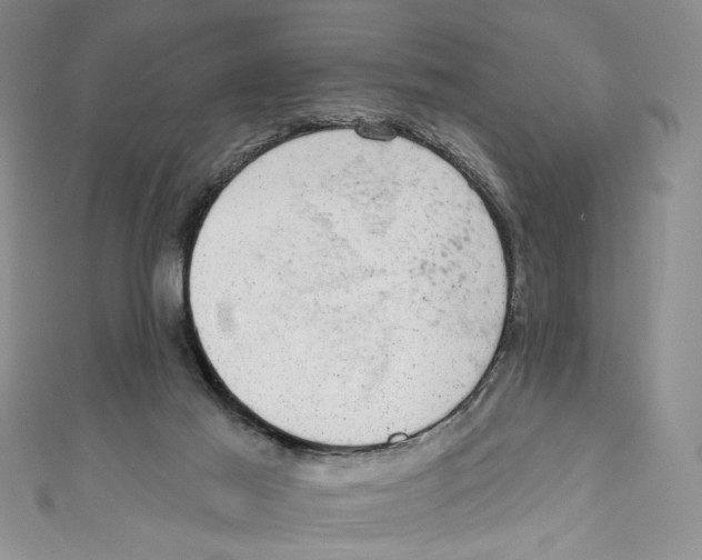 X0000110960021200907171659