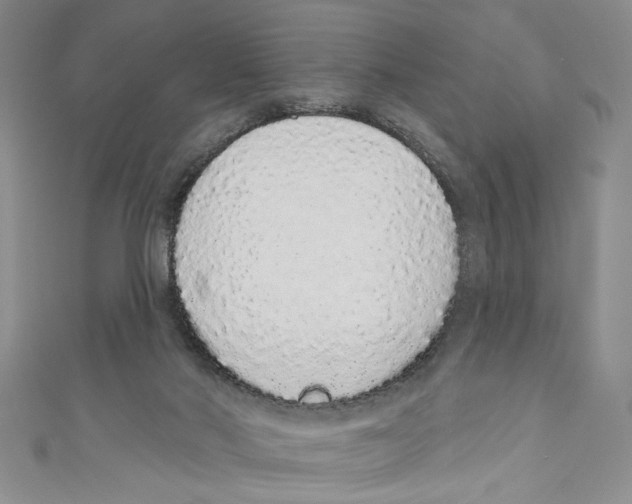 X0000110960022200907171659