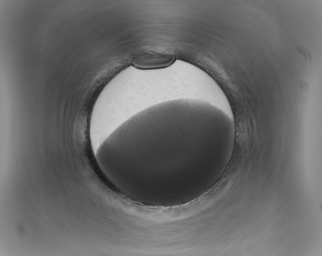 X0000110960023200907171659