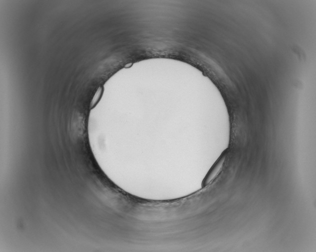 X0000110960025200907171658