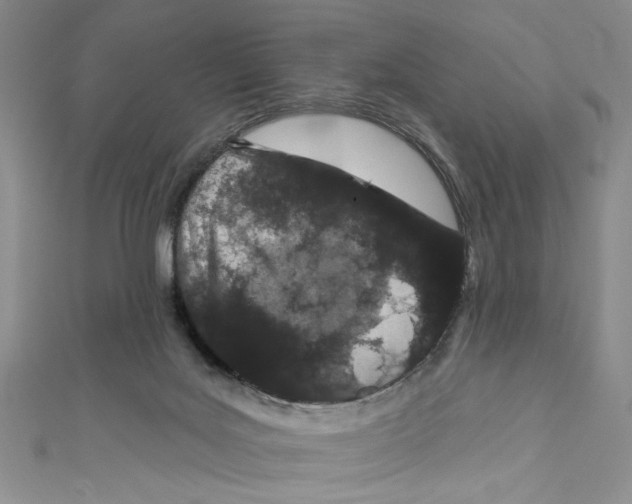 X0000110960027200907171658