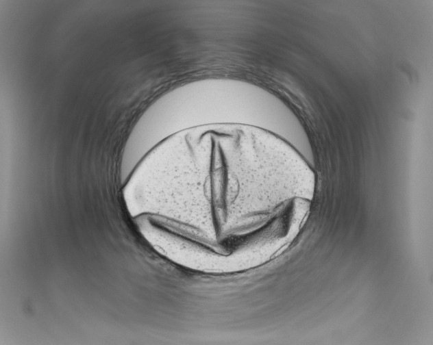 X0000110960029200907171658