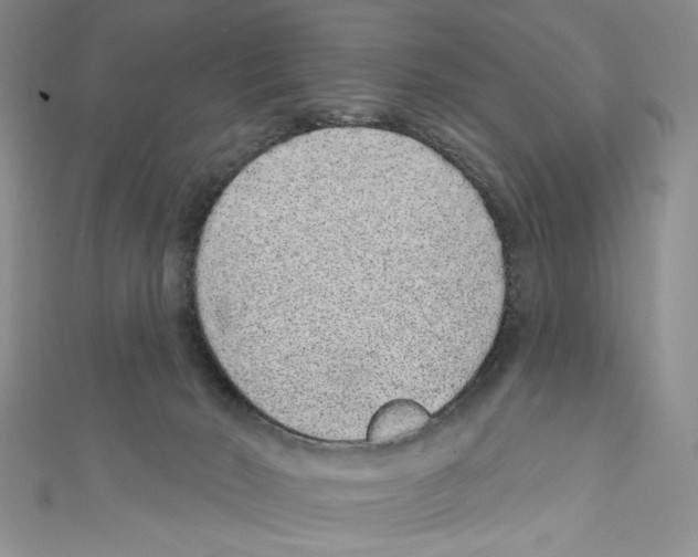 X0000110960030200907171658