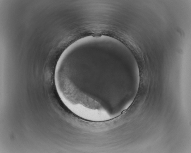 X0000110960031200907171658