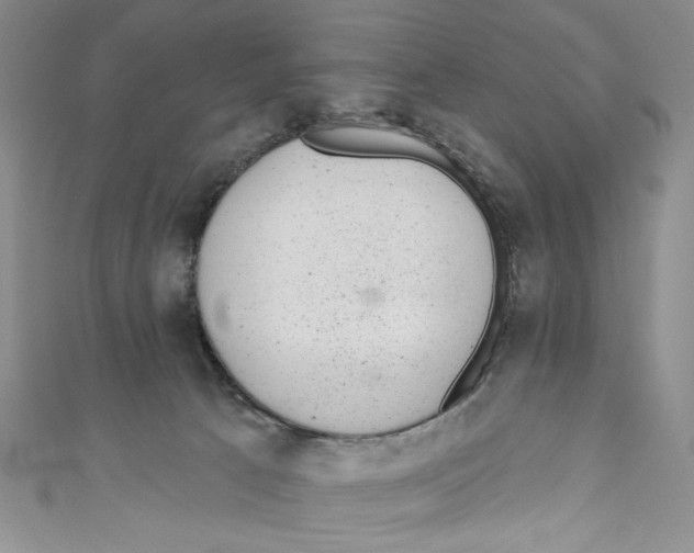 X0000110960033200907171658