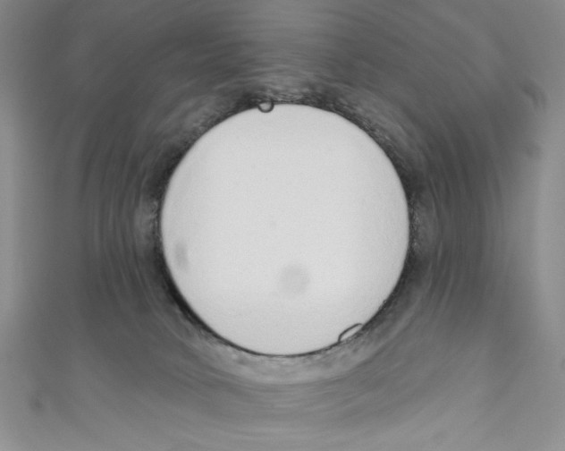 X0000110960034200907171658