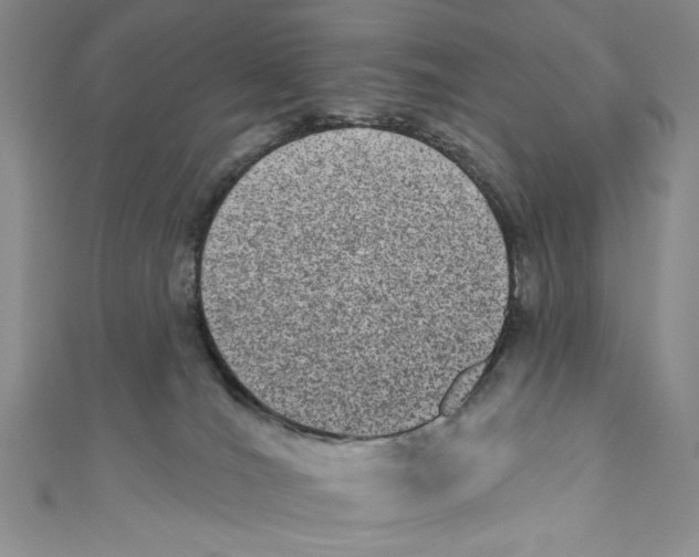 X0000110960036200907171658