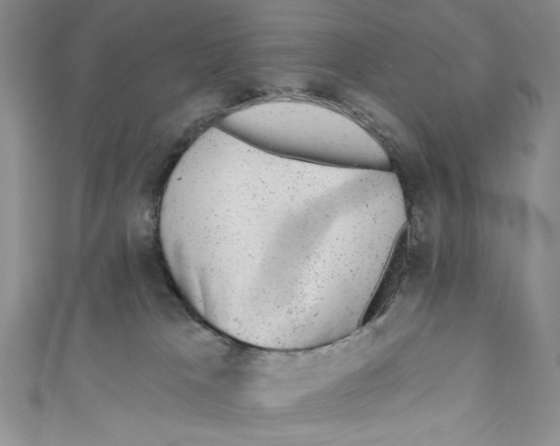 X0000110960037200907171658