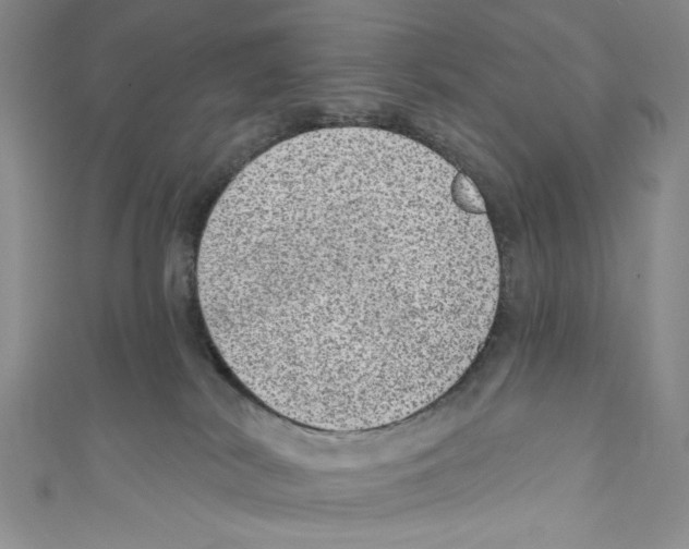 X0000110960038200907171658