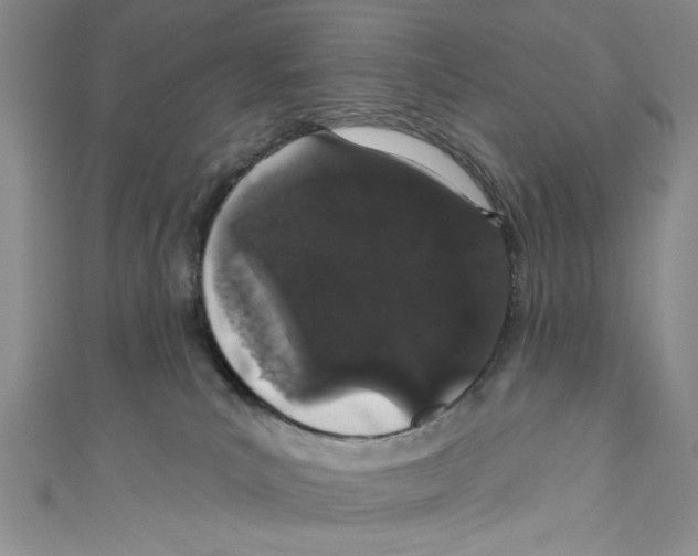 X0000110960039200907171658