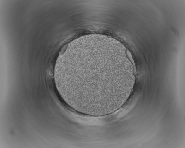 X0000110960040200907171658