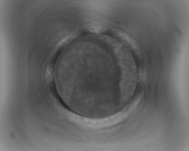 X0000110960043200907171658
