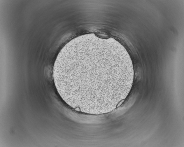 X0000110960044200907171658