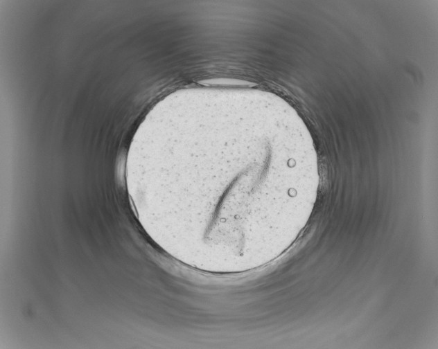 X0000110960047200907171658