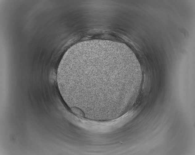 X0000110960048200907171658