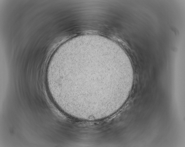 X0000110960049200907171658