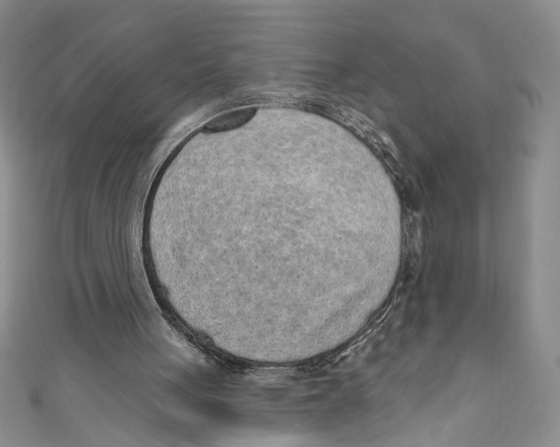 X0000110960051200907171658