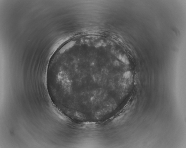 X0000110960052200907171658