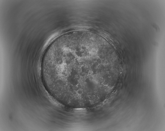 X0000110960053200907171658