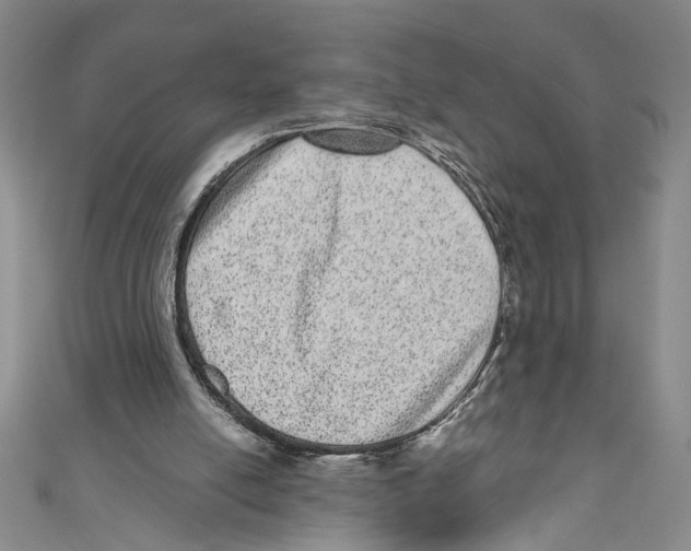 X0000110960054200907171658