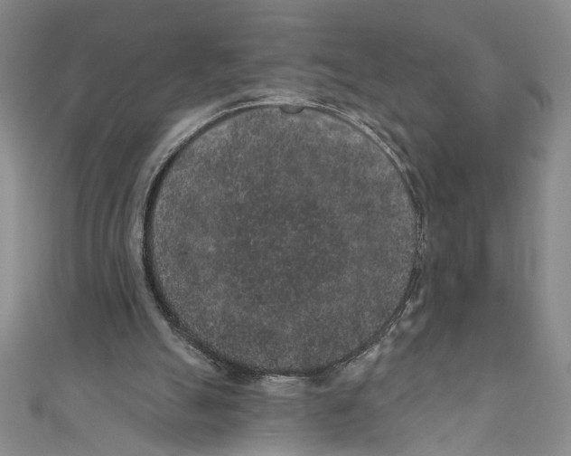 X0000110960055200907171658