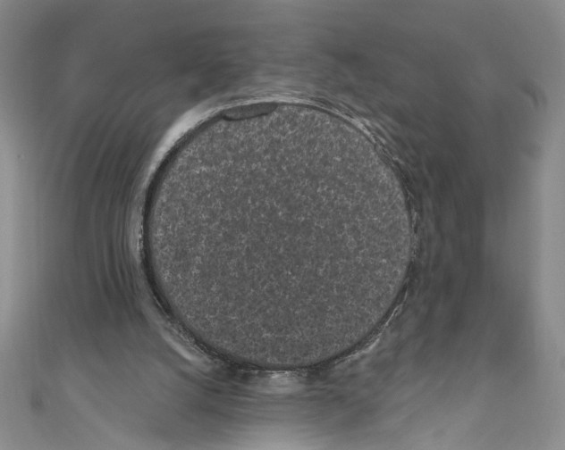 X0000110960056200907171658