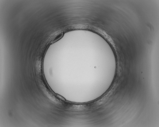 X0000110960057200907171658