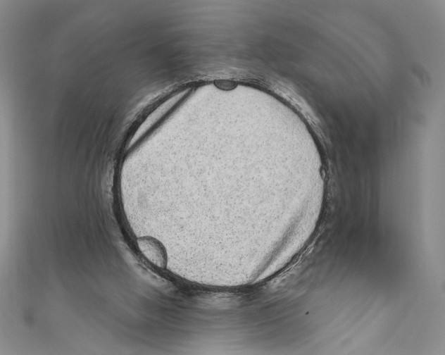 X0000110960058200907171658